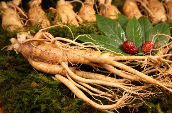 TÁC DỤNG CỦA NHÂN SÂM HÀN QUỐC 