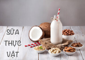 Giá trị dinh dưỡng từ Sữa Thực Vật Healthy Food
