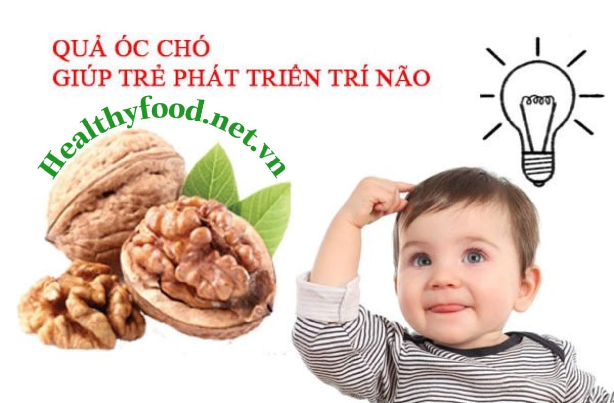 Bổ sung dưỡng chất từ Hạt Óc Chó trong Sữa Hạt Ngũ Cốc Healthy Food