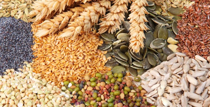 Xu hướng lựa chọn Thức uống ngũ cốc dinh dưỡng ngày càng tăng?