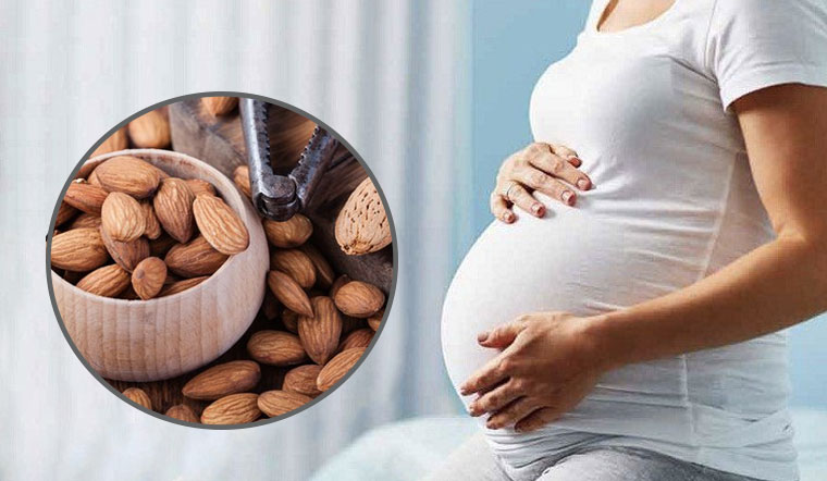 Chế độ dinh dưỡng cân bằng với Sữa hạt cho bà bầu Mommom