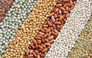 Sữa hạt ngũ cốc dinh dưỡng nguyên cám ít đường Healthyfood