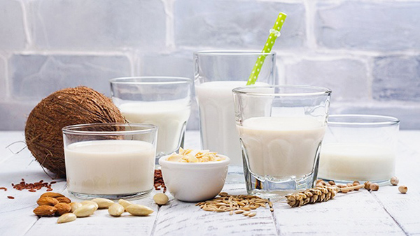 Sữa ngũ cốc Healthyfood bổ sung dinh dưỡng ăn kiêng giảm cân